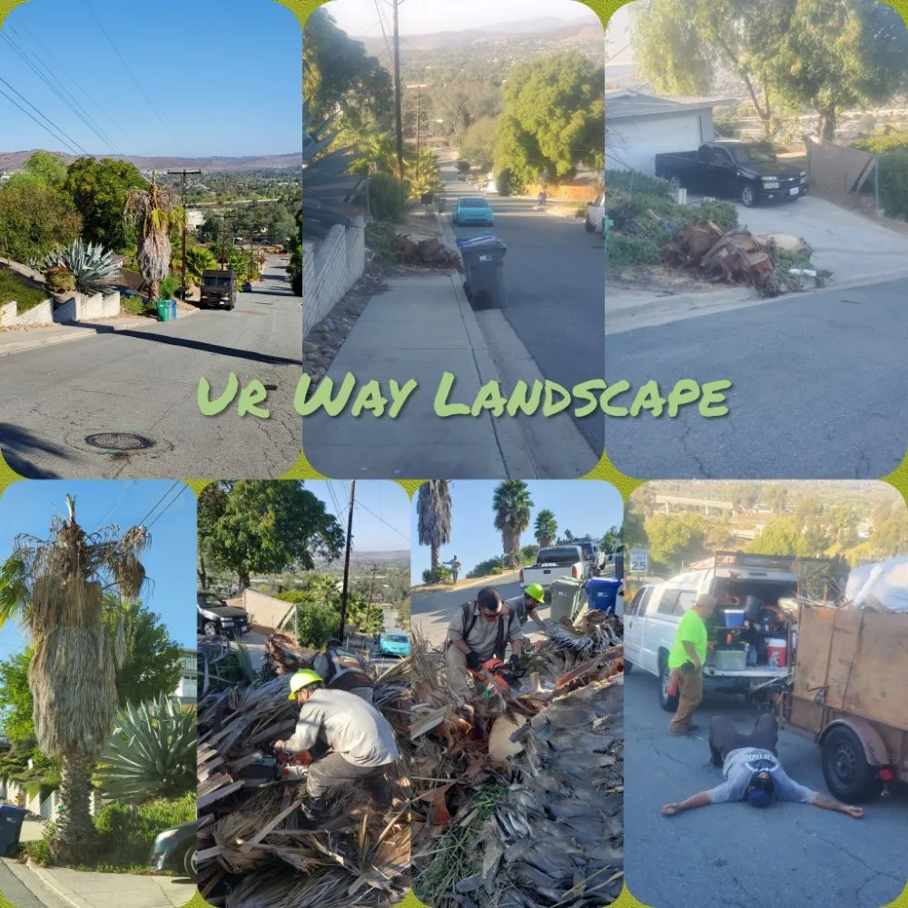 Local landscape design experts serving El Cajon, CA - Ur Way Landscape