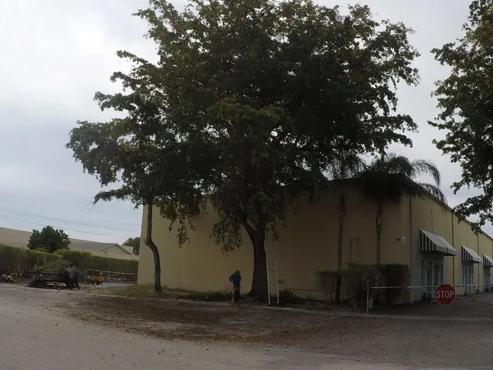 Reliable lawn mowing service experts serving Boynton Beach, FL - UR Way Lawn Service