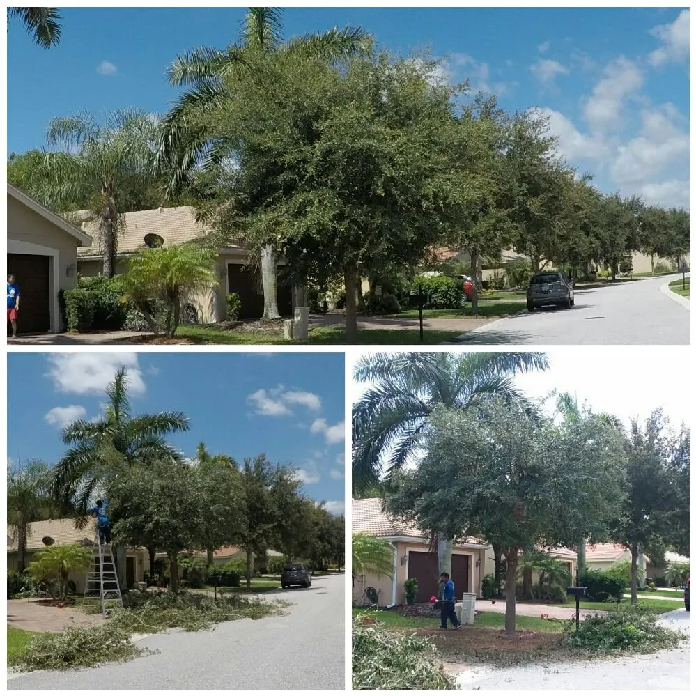 Trusted residential landscaping in Boynton Beach, FL - UR Way Lawn Service