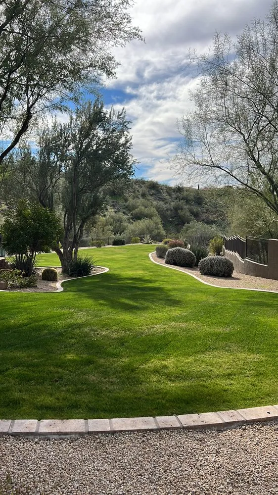 Top-rated yard maintenance in Phoenix, AZ - Urías Ramos Landscaping