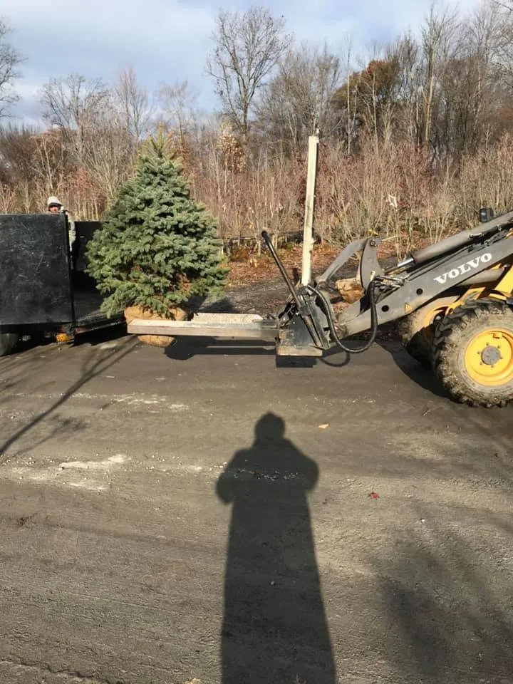 Affordable yard cleanup service experts serving New Hampton, NY - Urato Landscaping