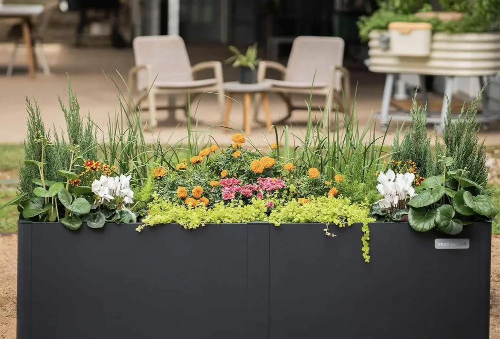 Expert lawn care service in Jupiter, FL by Urban Abundance