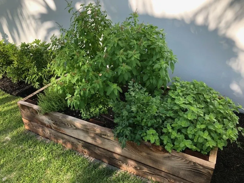 Expert lawn mowing service with custom design in Jupiter, FL by Urban Abundance