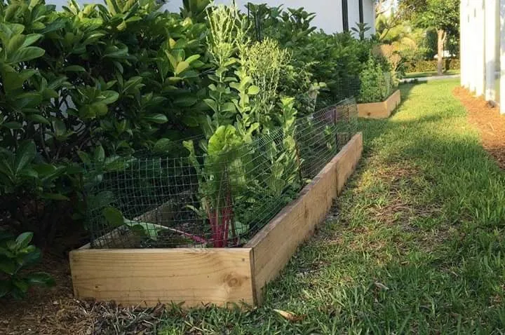 Affordable residential landscaping with custom design across Jupiter, FL - Urban Abundance