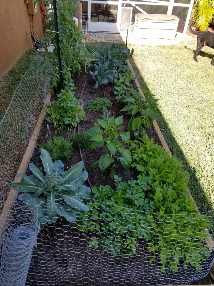 Custom garden landscaping in Jupiter, FL - Urban Abundance