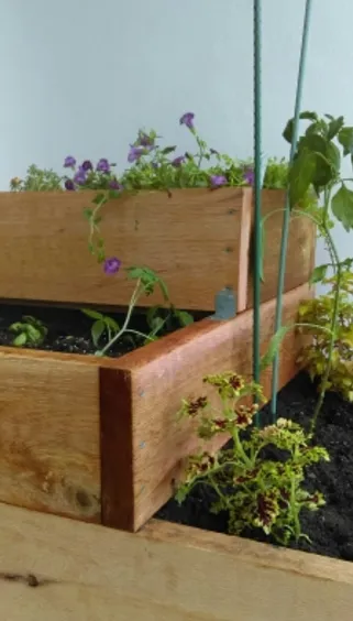 Expert garden landscaping for year-round maintenance across Jupiter, FL - Urban Abundance