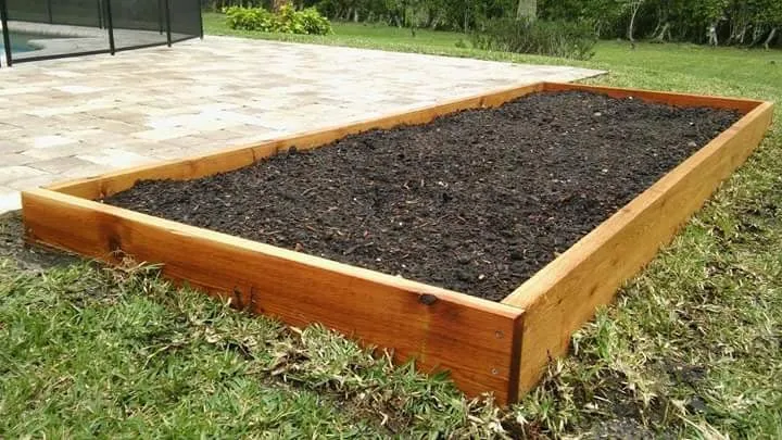 Top-rated yard cleanup service in Jupiter, FL by Urban Abundance