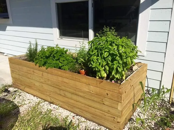 Professional yard cleanup service for outdoor upgrades across Jupiter, FL - Urban Abundance