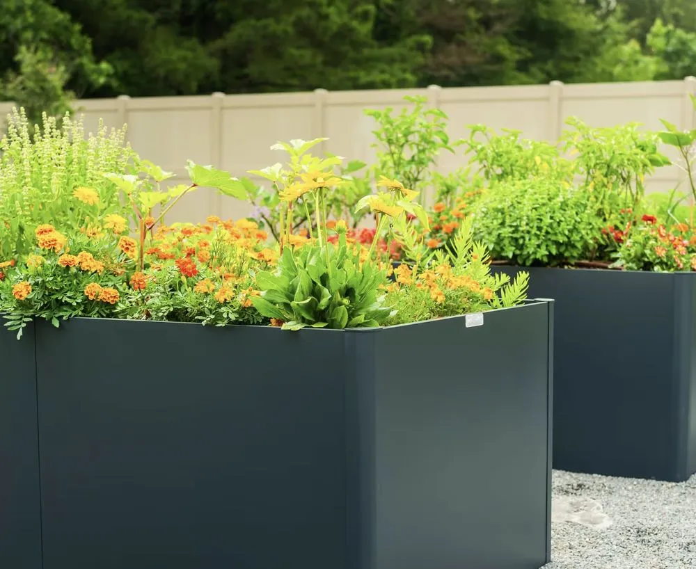 Expert landscaping services for residential properties across Jupiter, FL - Urban Abundance