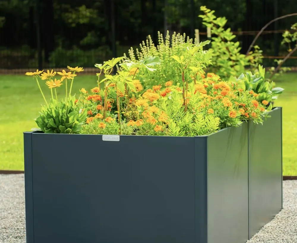 Top-rated residential landscaping experts serving Jupiter, FL - Urban Abundance