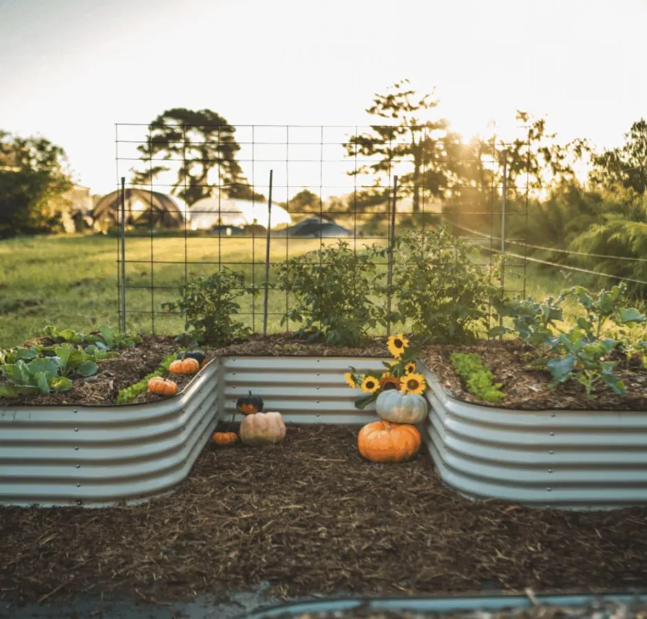 Local yard maintenance with custom design across Jupiter, FL - Urban Abundance