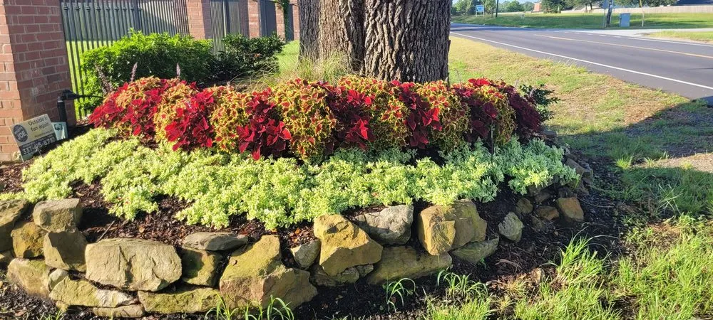 Trusted lawn mowing service experts serving Lake Charles, LA - Urban Designs Landscaping