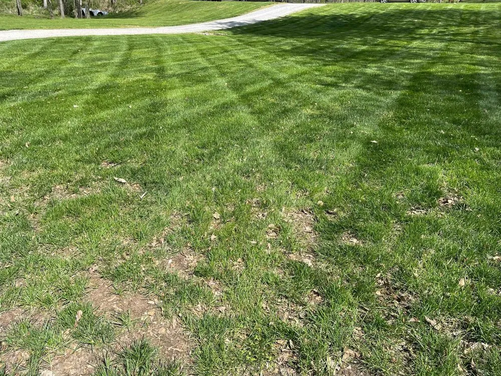 Custom outdoor landscaping for beautiful yards across Kansas City, MO - Urban Diamond Lawn