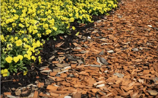 Top-rated yard maintenance in Kansas City, MO - Urban Diamond Lawn