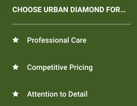 Local yard cleanup service near you across Kansas City, MO - Urban Diamond Lawn