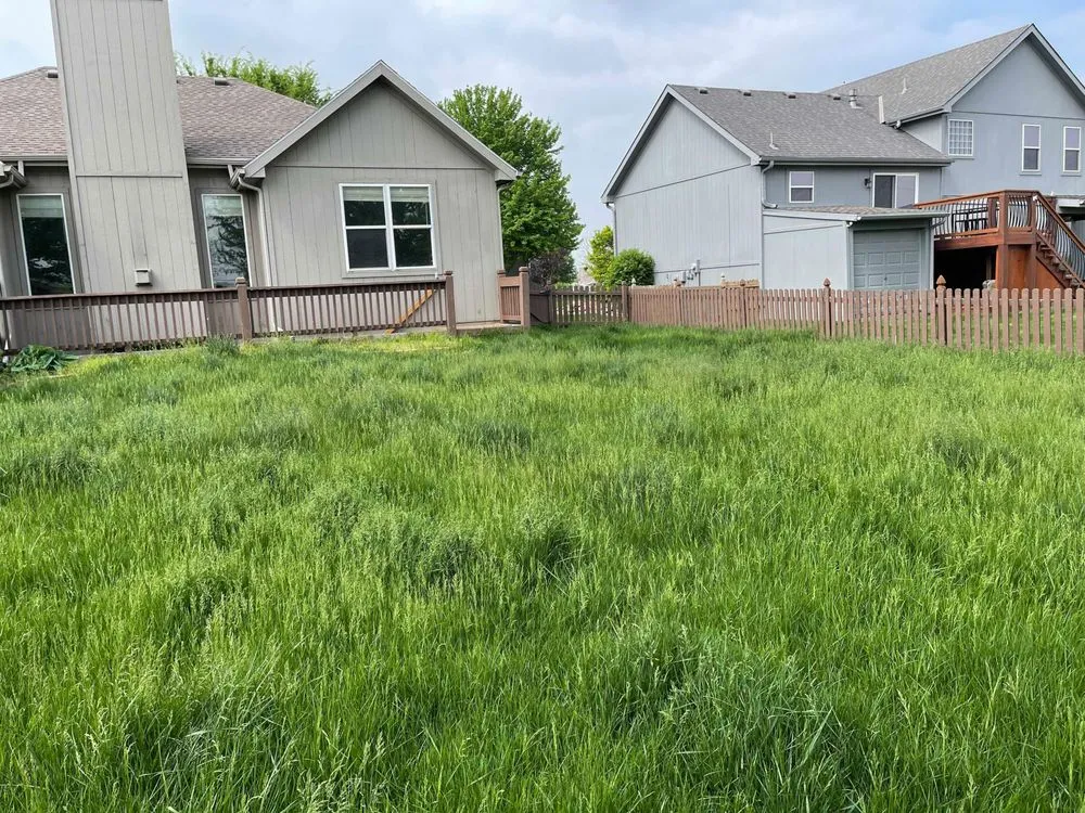 Top-rated outdoor landscaping experts serving Kansas City, MO - Urban Diamond Lawn