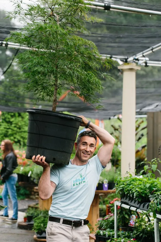 Reliable garden landscaping for beautiful yards across Memphis, TN - Urban Earth Gardens, Nursery & Market