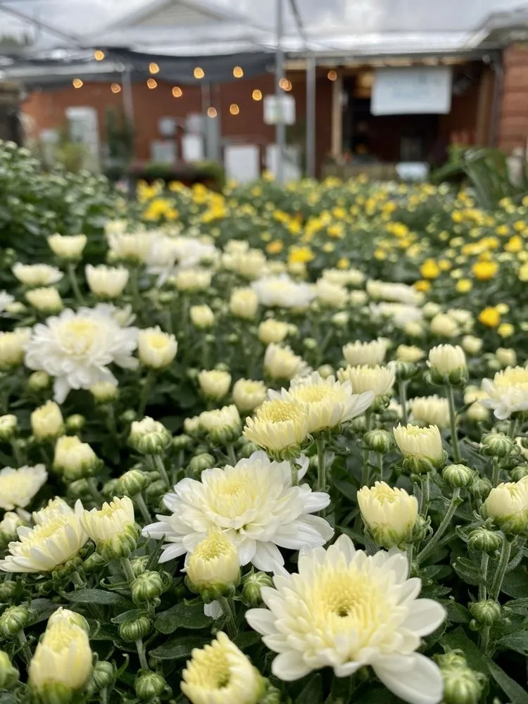 Trusted garden landscaping in Memphis, TN by Urban Earth Gardens, Nursery & Market