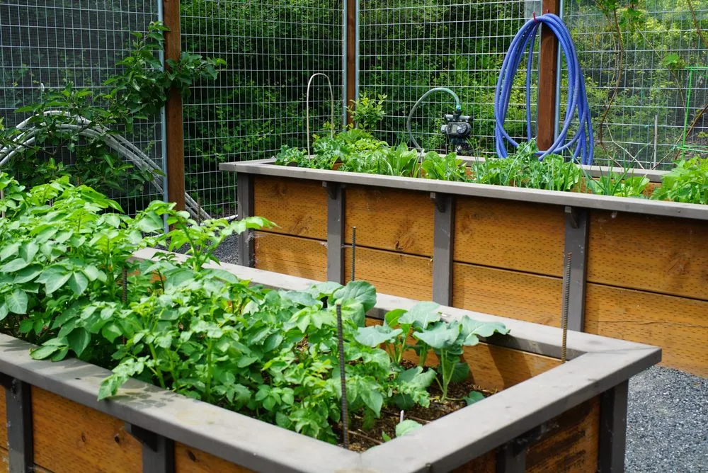 Top-rated outdoor landscaping experts serving Bellingham, WA - Urban Ecology