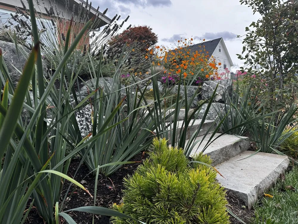 Professional lawn mowing service in Bellingham, WA - Urban Ecology