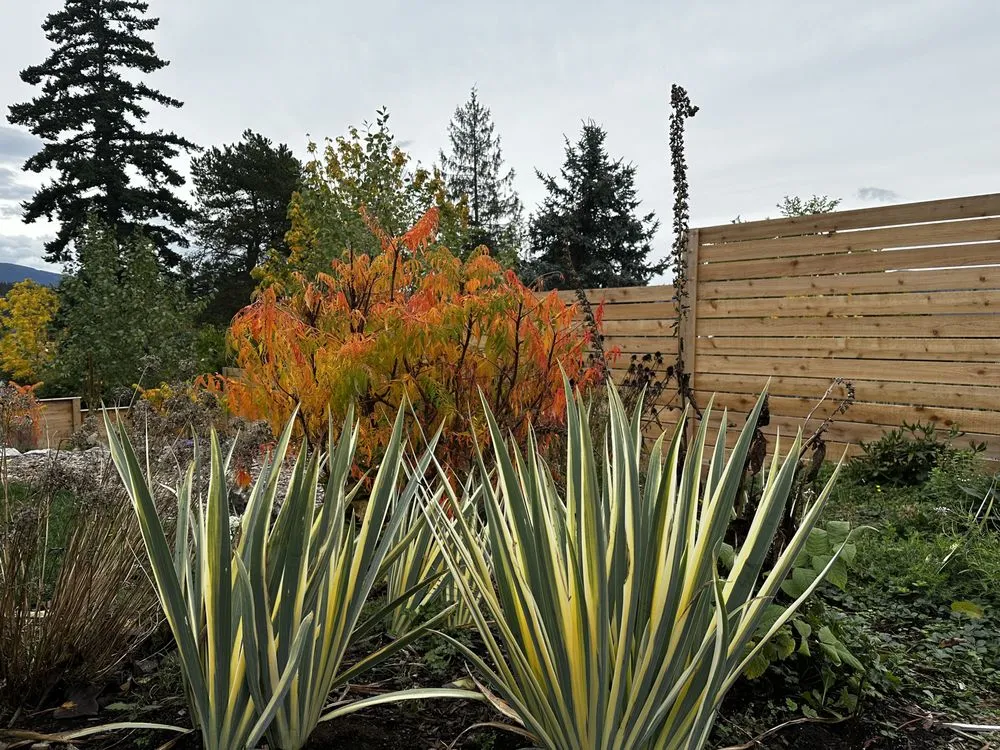 Local garden landscaping experts serving Bellingham, WA - Urban Ecology