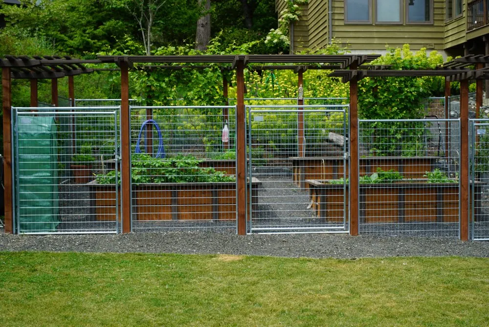 Reliable lawn care service for beautiful yards in Bellingham, WA by Urban Ecology