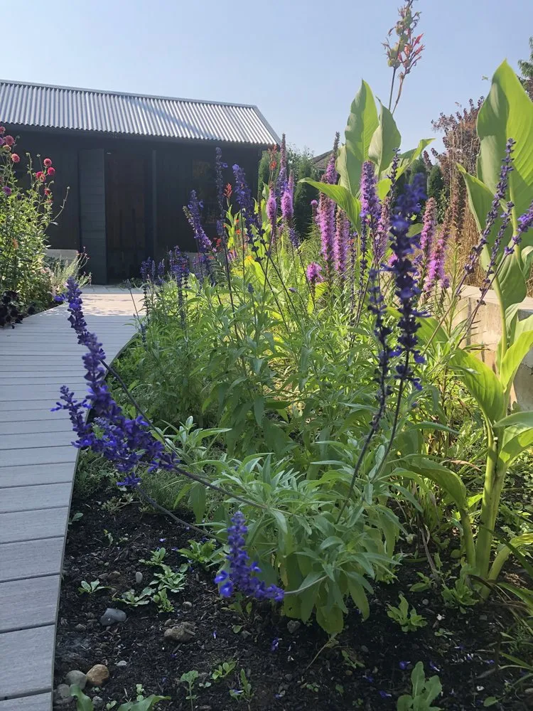 Reliable lawn mowing service in Bellingham, WA by Urban Ecology