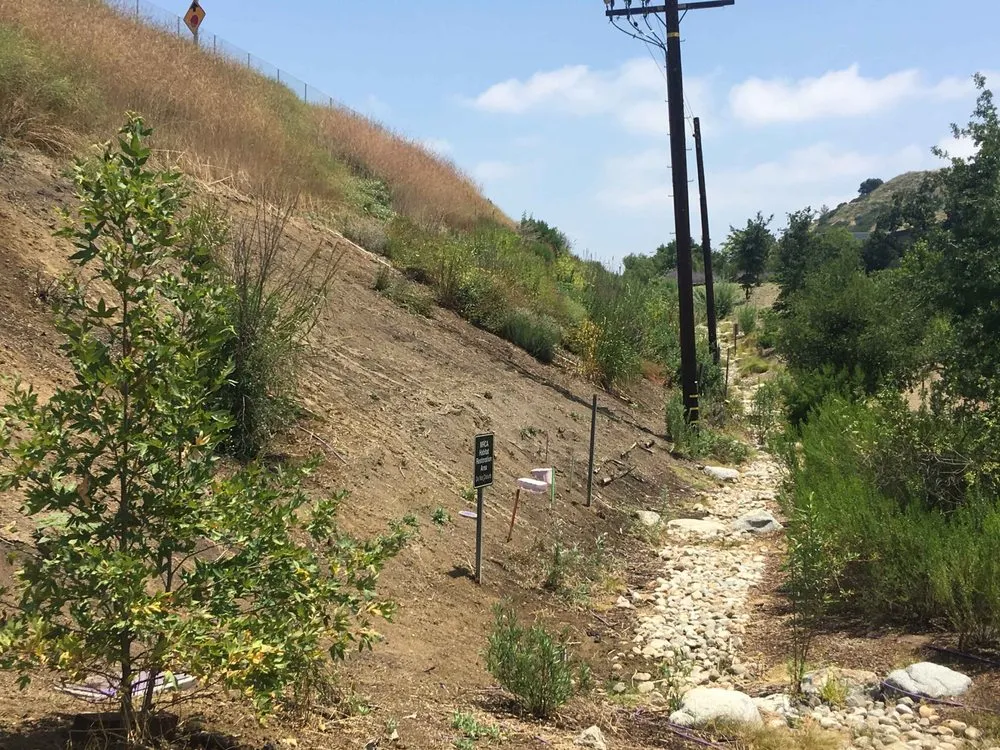 Reliable outdoor landscaping with custom design in Agoura Hills, CA by Urban Ecoscapes