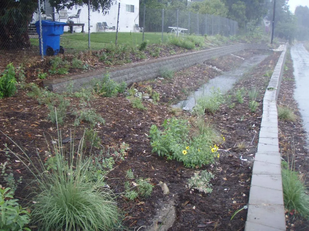 Reliable yard cleanup service with custom design across Agoura Hills, CA - Urban Ecoscapes