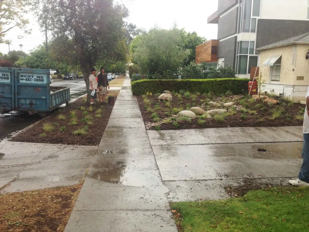 Custom garden landscaping for year-round maintenance in Agoura Hills, CA by Urban Ecoscapes