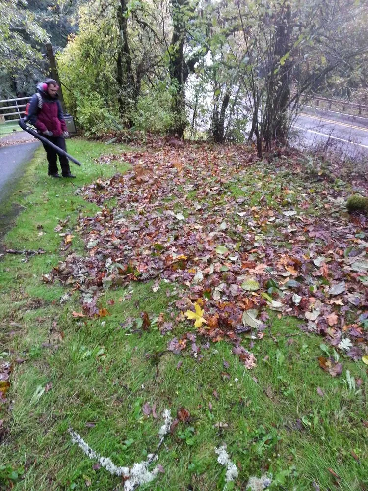 Local landscape installation in Camas, WA - Urban Eden Landscaping