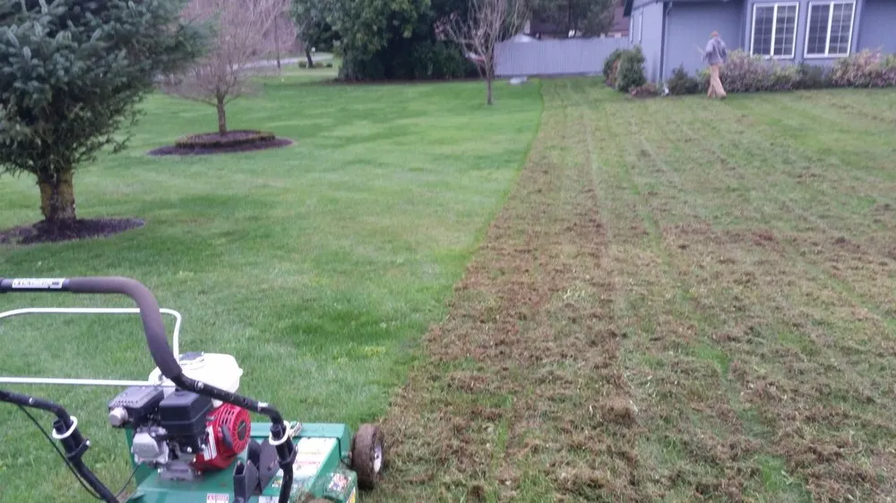 Expert lawn mowing service with custom design in Camas, WA by Urban Eden Landscaping