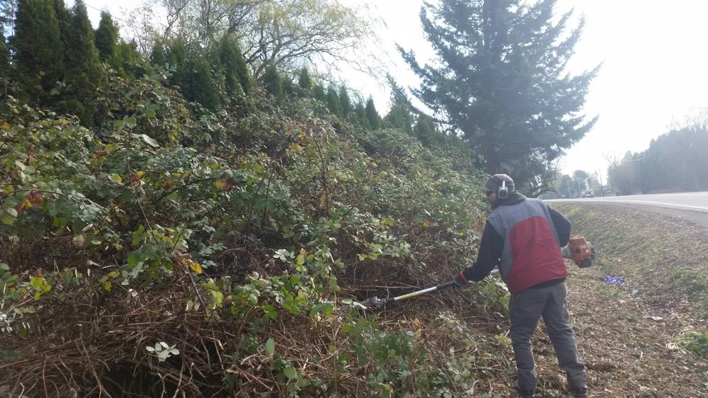 Local lawn care service in Camas, WA - Urban Eden Landscaping