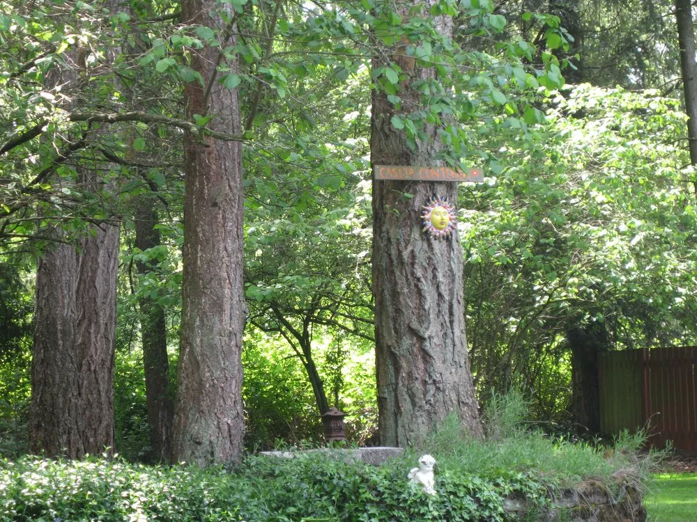 Professional landscape installation in Camas, WA - Urban Eden Landscaping