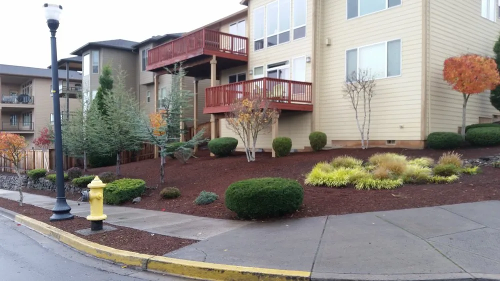 Expert yard maintenance for year-round maintenance in Camas, WA by Urban Eden Landscaping