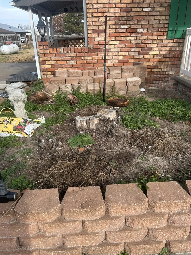 Expert yard maintenance in Salina, KS - Urban Edge Hauling Solutions