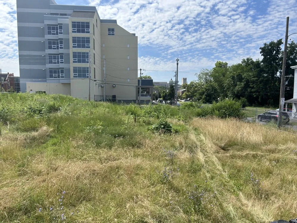 Expert yard cleanup service for residential properties across Valley Green, PA - Urban Edge Property Solutions