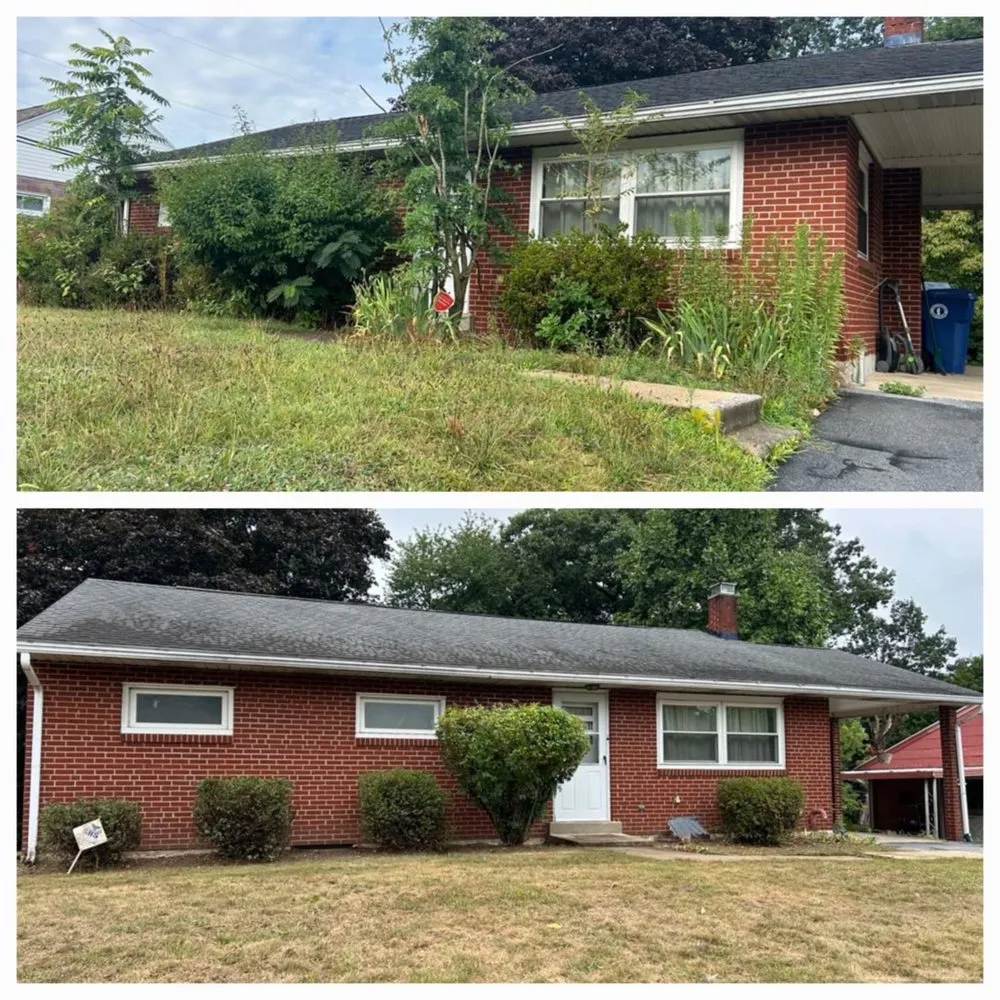 Custom yard cleanup service in Valley Green, PA - Urban Edge Property Solutions