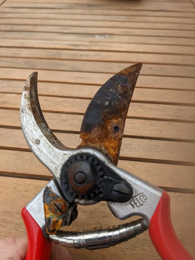 Expert lawn care service in San Francisco, CA by Urban Farmer Store