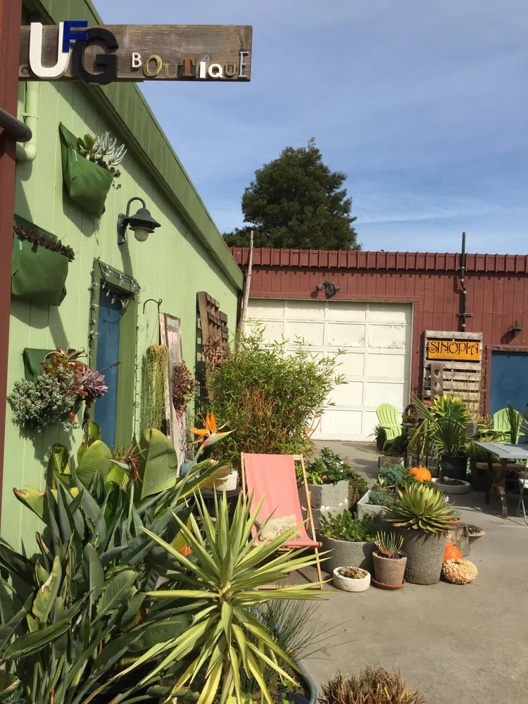 Top-rated landscape installation in San Francisco, CA by Urban FarmGirls Garden Design