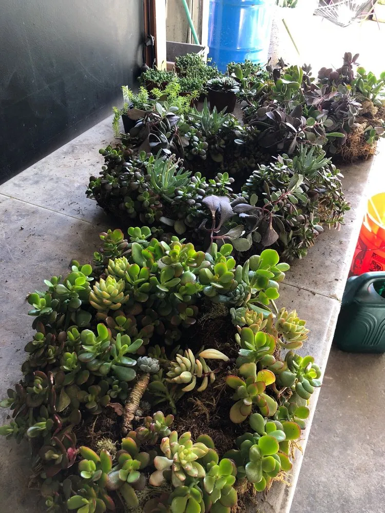 Professional garden landscaping in San Francisco, CA - Urban FarmGirls Garden Design