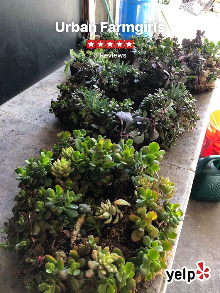 Local outdoor landscaping for outdoor upgrades across San Francisco, CA - Urban FarmGirls Garden Design