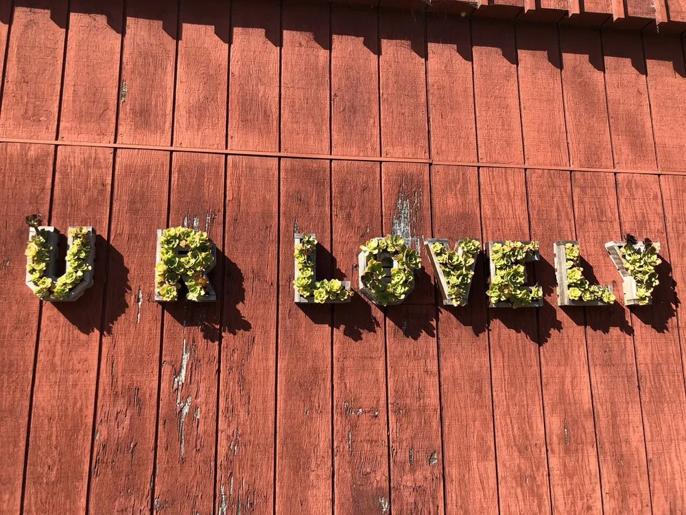 Custom yard maintenance in San Francisco, CA - Urban FarmGirls Garden Design