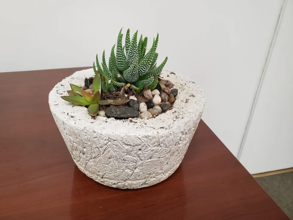 Reliable yard cleanup service in San Francisco, CA - Urban FarmGirls Garden Design