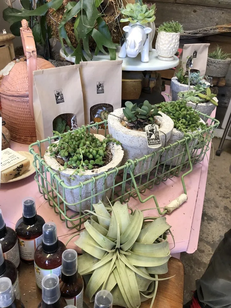 Custom landscape installation for outdoor upgrades across San Francisco, CA - Urban FarmGirls Garden Design