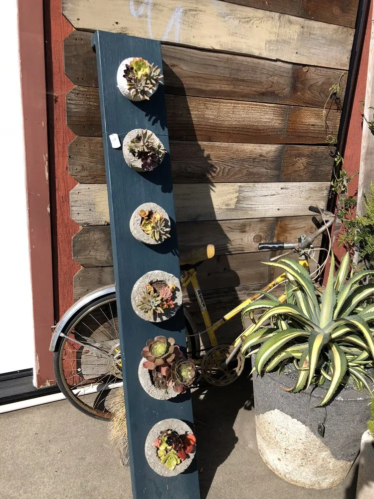 Custom yard maintenance for outdoor upgrades across San Francisco, CA - Urban FarmGirls Garden Design