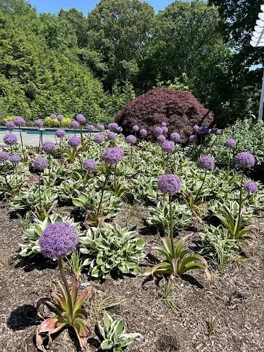 Reliable yard maintenance with custom design across Franklin Lakes, NJ - Urban Farms Landscape & Design