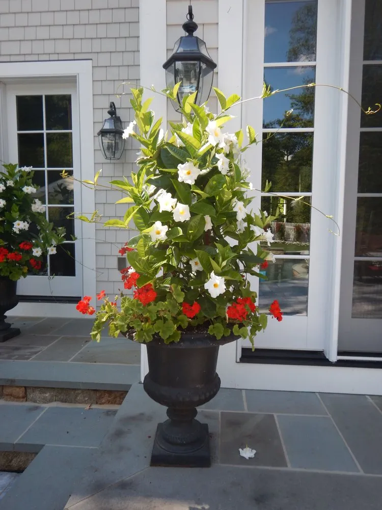 Custom lawn mowing service experts serving Franklin Lakes, NJ - Urban Farms Landscape & Design