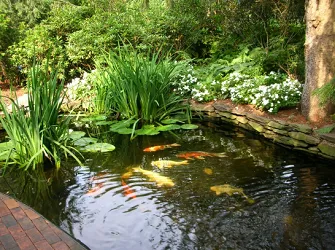 Expert lawn care service for homes across Franklin Lakes, NJ - Urban Farms Landscape & Design