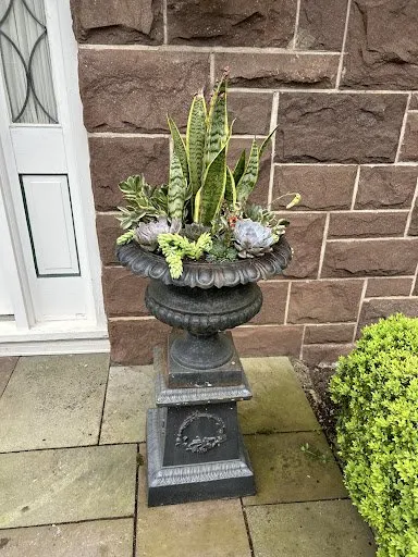 Top-rated lawn care service in Franklin Lakes, NJ by Urban Farms Landscape & Design